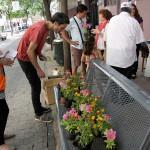 Decora tu balcón 2013