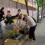 Decora tu balcón 2013