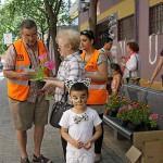 Decora tu balcón 2013