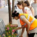 Decora tu balcón 2013