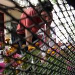 Decora tu balcón 2013