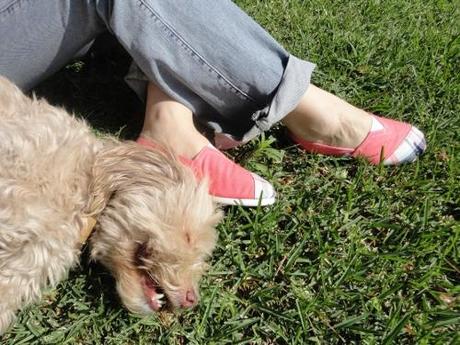 Combina tus alpargatas