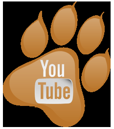 Pet Secret. YouTube petsecret
