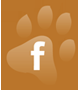 facebook petsecret