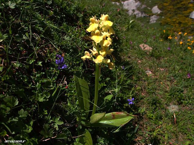peña arpín y puertos de agüeria