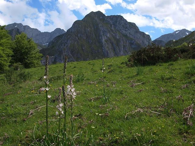 peña arpín y puertos de agüeria