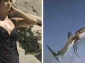 Vídeo: Falso anuncio ruso ataque tiburón viral