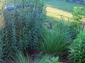 Diseño jardines