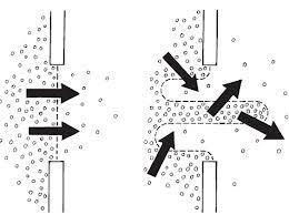 La absorción, los capilares y la digestión