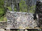 Sierra Rincón Hayedo Montejo