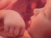 milagro vida": vídeo fascinante inspirador