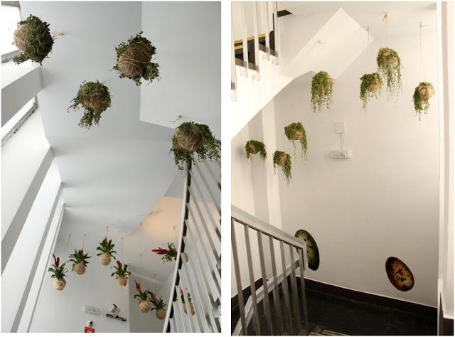 Vivarium. El Jardín Colgante de Casa Decor 2013