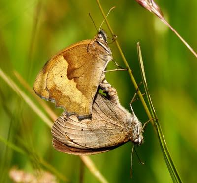 Y esto sí es lo que parece