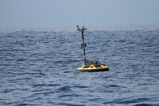 A 30 millas de cabo matxitxako