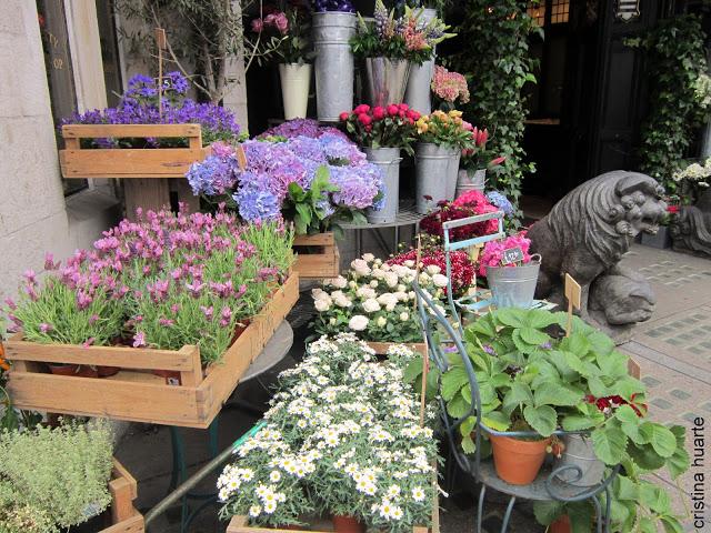 Flores en Liberty