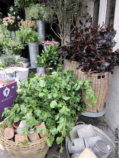 Flores en Liberty