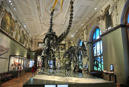 Museo de Historia Natural de Viena