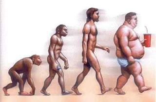 Dieta: ¿con Carne o sin ella?