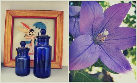 Hoy compartimos ... secretos y anecdotas