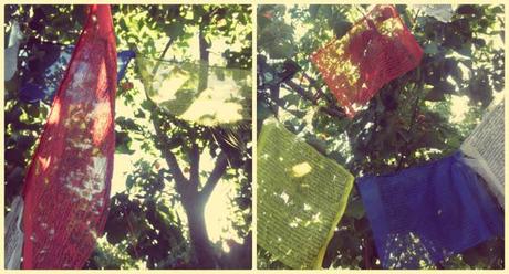 Hoy compartimos ... secretos y anecdotas