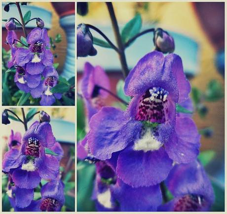 Hoy compartimos ... secretos y anecdotas