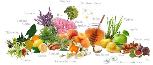 JEANNE EN PROVENCE y su nueva gama de verbena