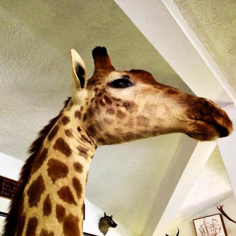 Algarve. Mayo de 2013. Cabo de San Vicente Algarve. Mayo de 2013. Cabo de San Vicente