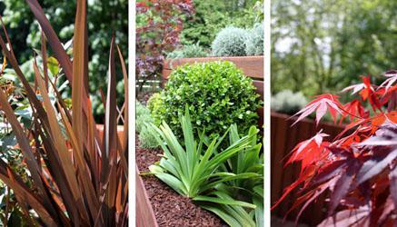 donosti 012 donosti 012 Diseño de jardín en un ático para 2 terrazas