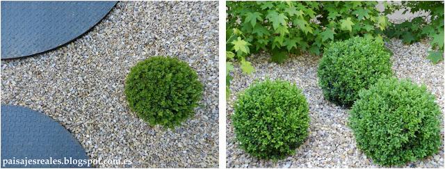 Bosque Urbano de Jasús Ibáñez. Casa Decor 2013