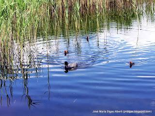 Castilla-La Mancha (4): La Mancha Húmeda