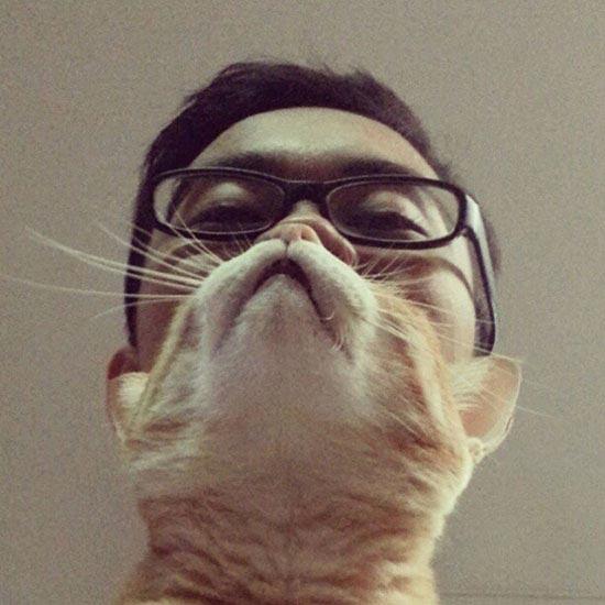 Fotografías curiosas que necesitas mirar bien para entender realmente la realidad.