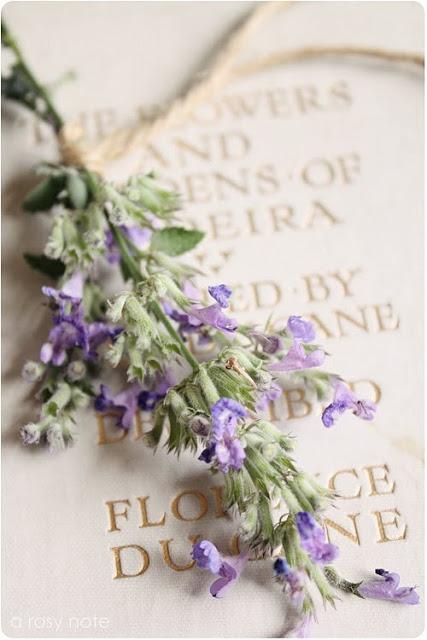 FLOR DE LAVANDA...UN GRAN TESORO DEL VERANO