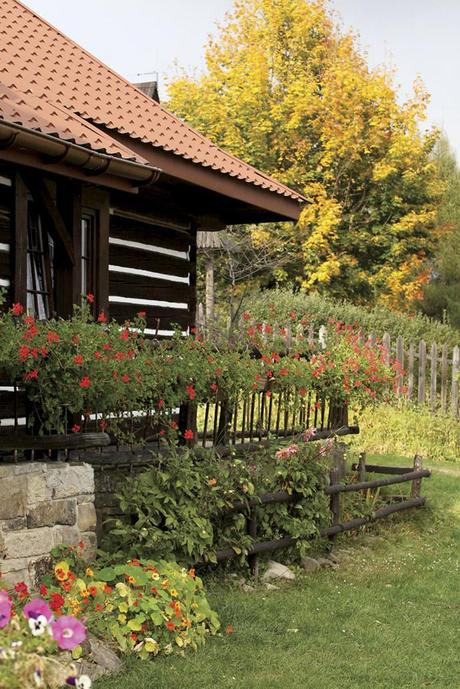 Despertamos en el bosque