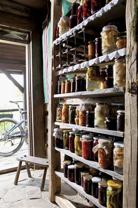 Despertamos en el bosque