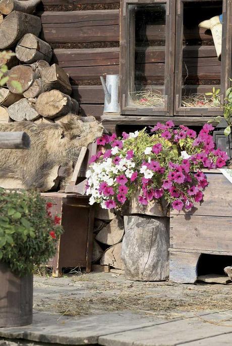 Despertamos en el bosque