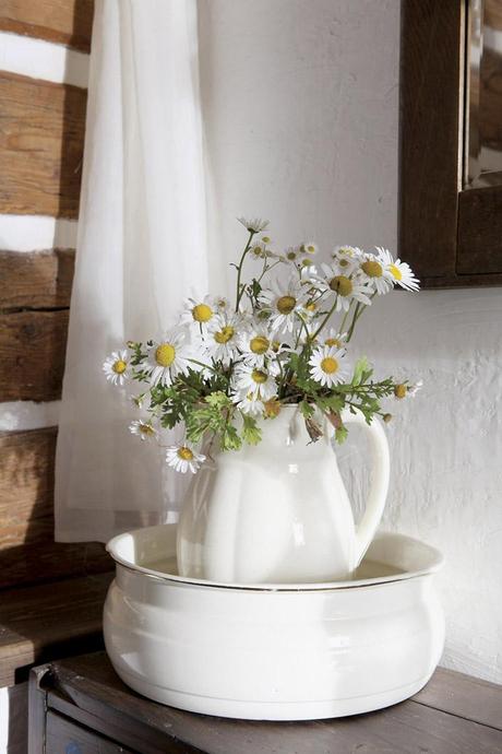 Despertamos en el bosque