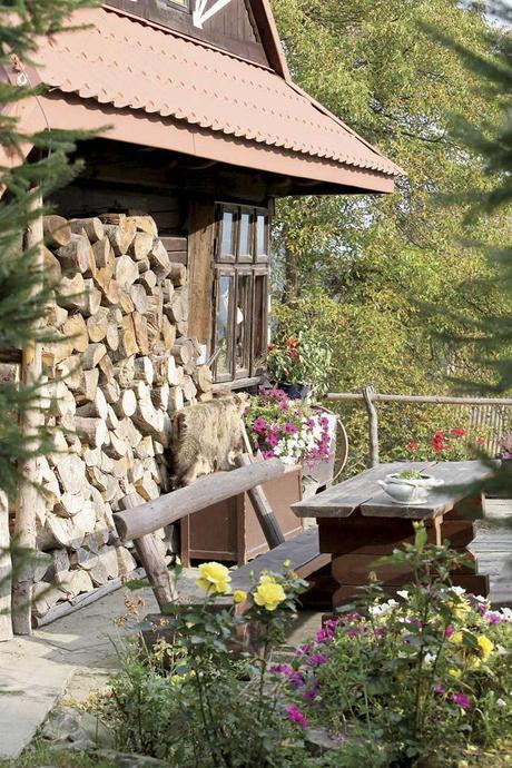 Despertamos en el bosque