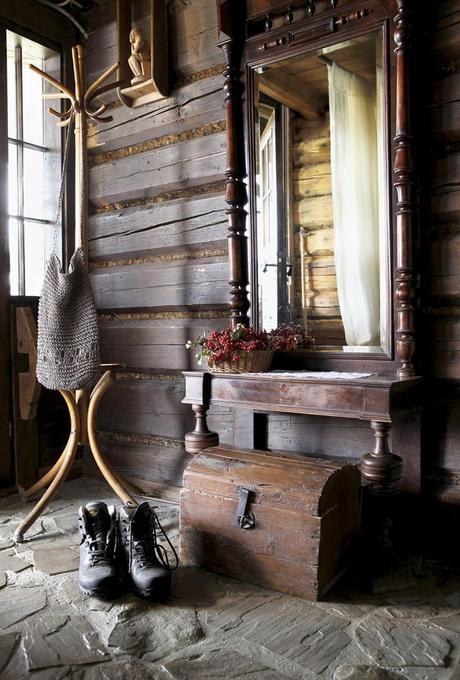 Despertamos en el bosque