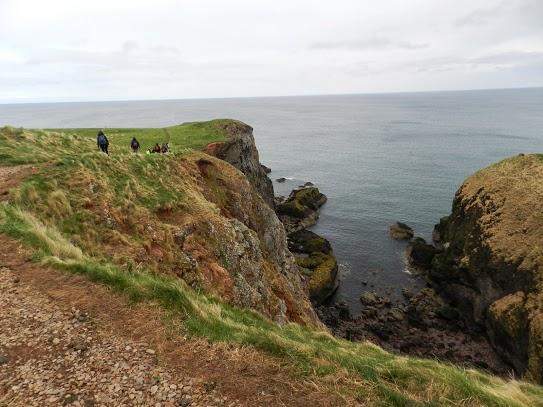 Cabo de St Abb y sus aves marinas