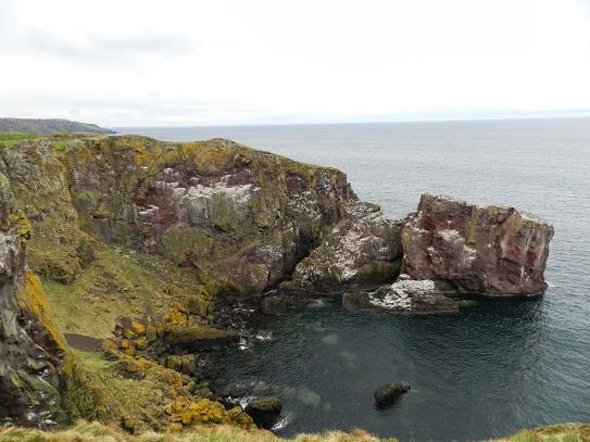 Cabo de St Abb y sus aves marinas