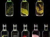 Perfumes Jimmy Boyd