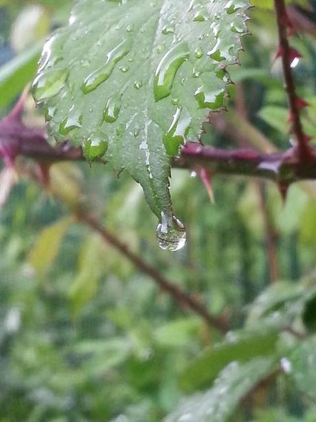 Androidografia Barakaldo 1403