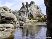 Lagunas, Charcas, Humedales y Pozas de la Sierra de Guadarrama (vertiente madrileña)