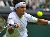 focos apuntan Ferrer