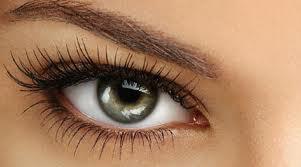 Verano de Lujo en Madrid con Permanente, tinte de pestañas y diseño de cejas por tan solo 25€