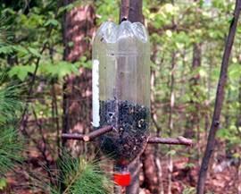 como hacer comedero pajaro 1 Cómo construir un comedero para pájaros con una botella reciclada
