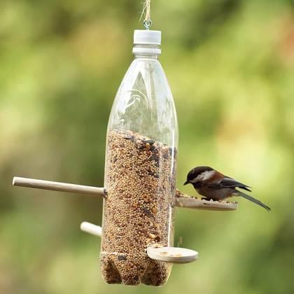 como hacer comedero pajaro 2 Cómo construir un comedero para pájaros con una botella reciclada