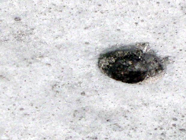 Cuento: Autobiografia en cinco capitulos