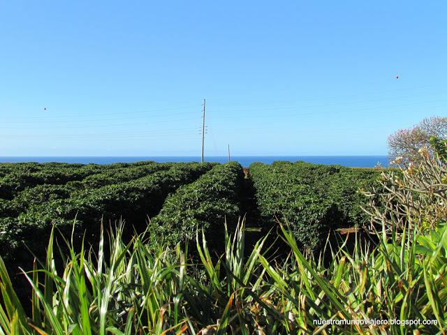 Kauai; el jardín del archipiélago de Hawaii