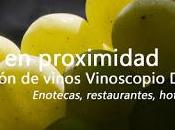 Donde comprar, beber maridar buenos vinos
